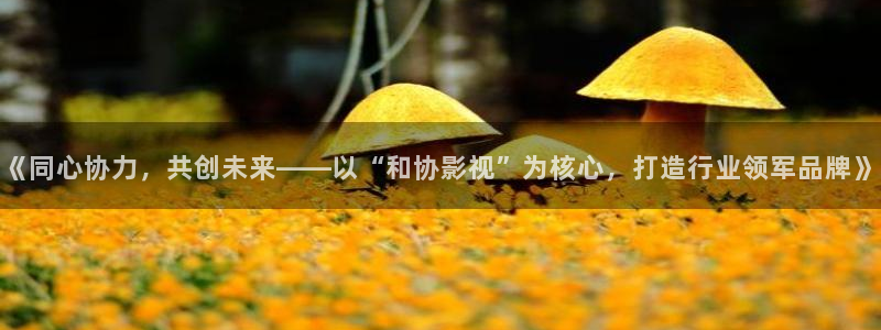 八戒私人影院在线：《同心协力，共创未来——以“和协影视”为核心，打造行业领军品牌》
