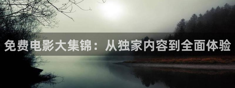 神马影院八戒影院：免费电影大集锦：从独家内容到全面体验