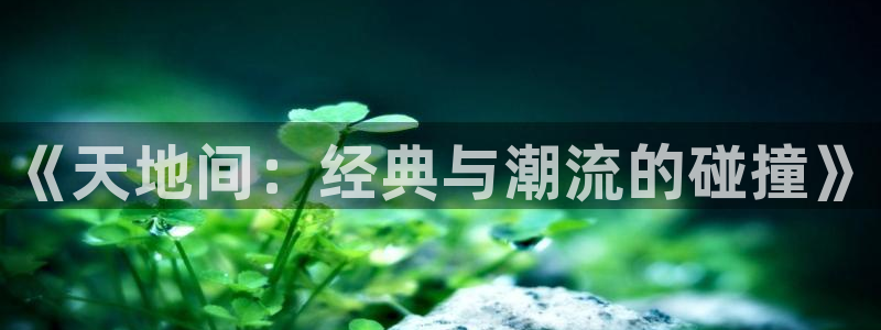 八戒网站：《天地间：经典与潮流的碰撞》