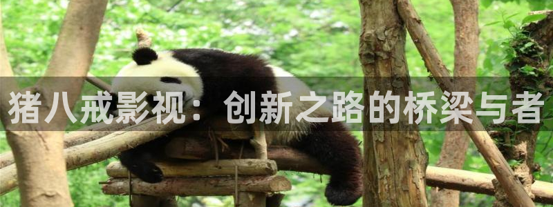 影院 八戒：猪八戒影视：创新之路的桥梁与者