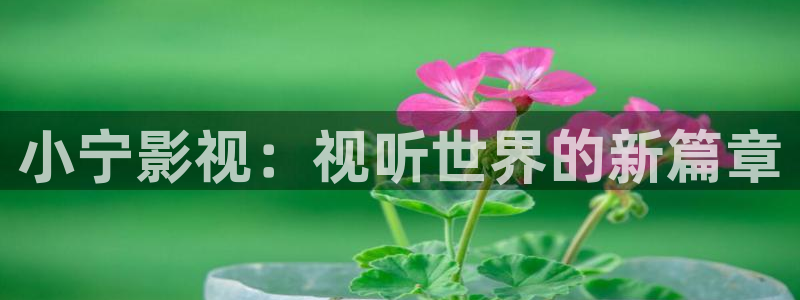 一路向西八戒影院